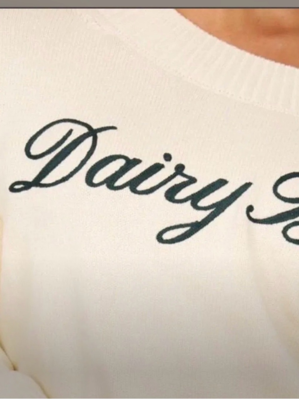 Dairy Boy Embroidered Sweater- NWOT